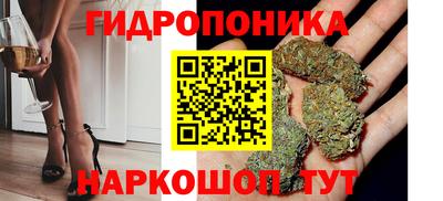 тгк Аргун
