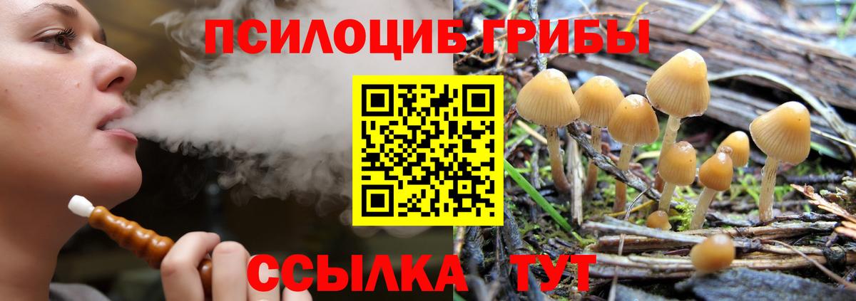Псилоцибиновые грибы Psilocybine cubensis  Вход с VPN  наркота  Вичуга  Псилоцибиновые грибы Magic Shrooms 