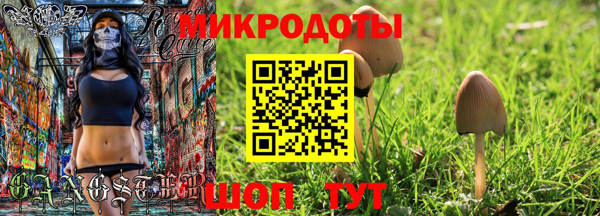 Псилоцибиновые грибы мицелий Вичуга